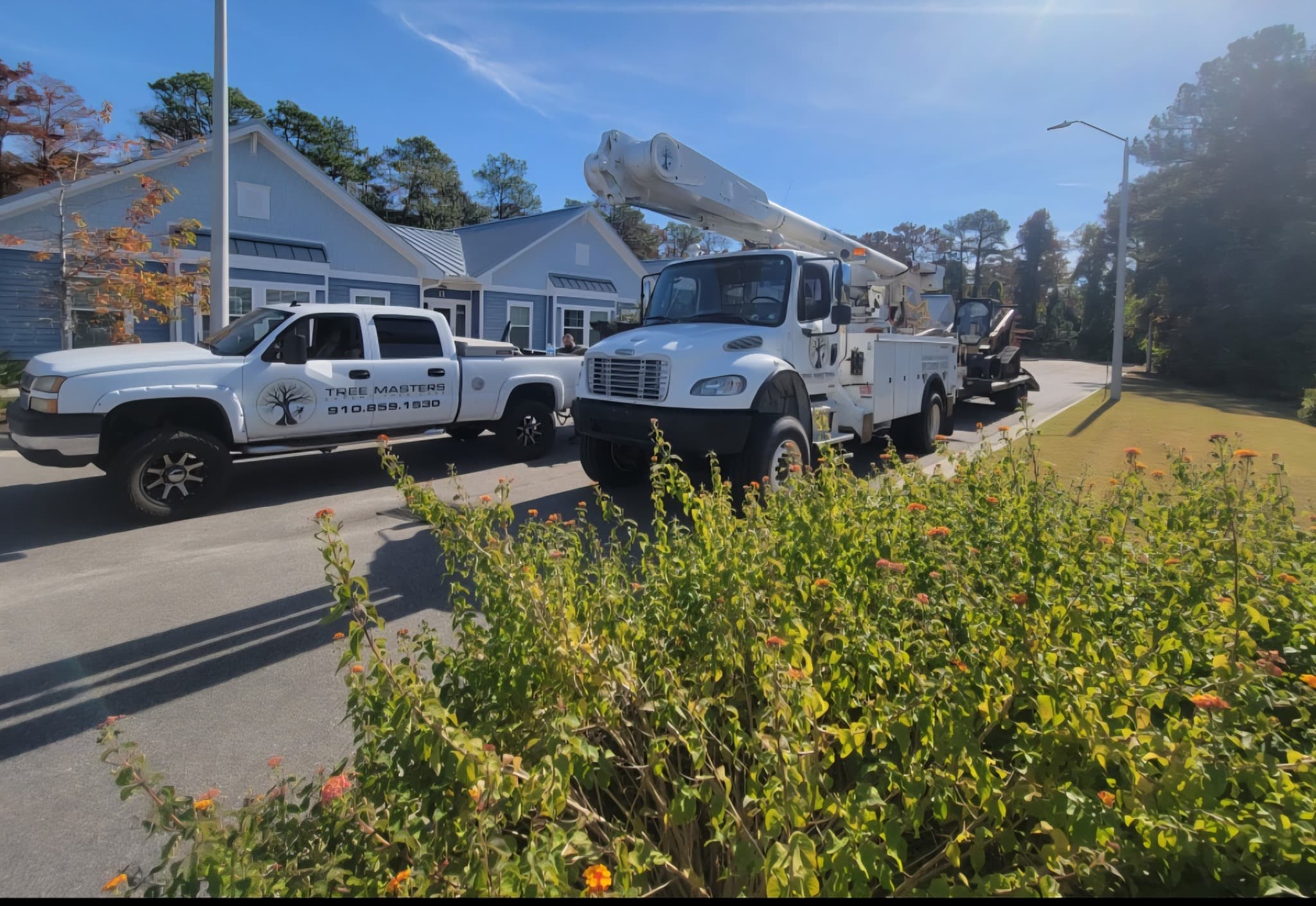 The Tree Masters truck fleet lined up on a job site